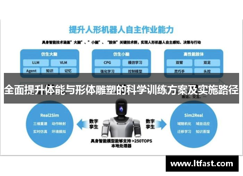 全面提升体能与形体雕塑的科学训练方案及实施路径